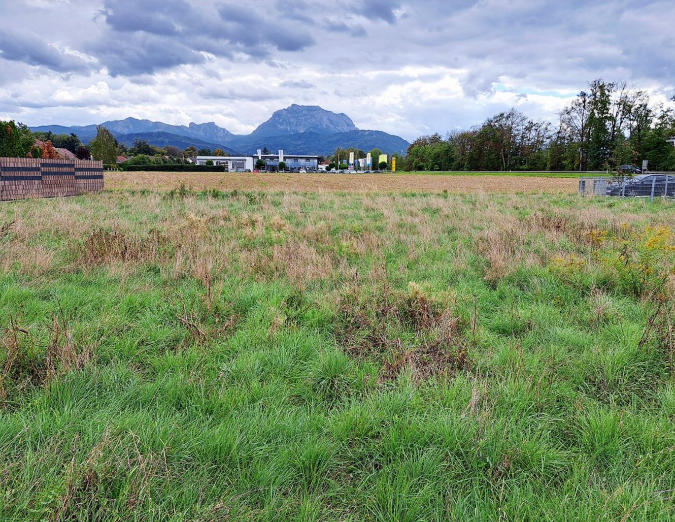 Privatverkauf: Baugrund ohne Bauzwang in Laakirchen – Bild 1 von 6