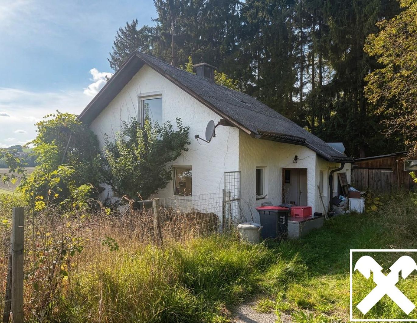Altbestand am Waldesrand – Bild 1 von 4