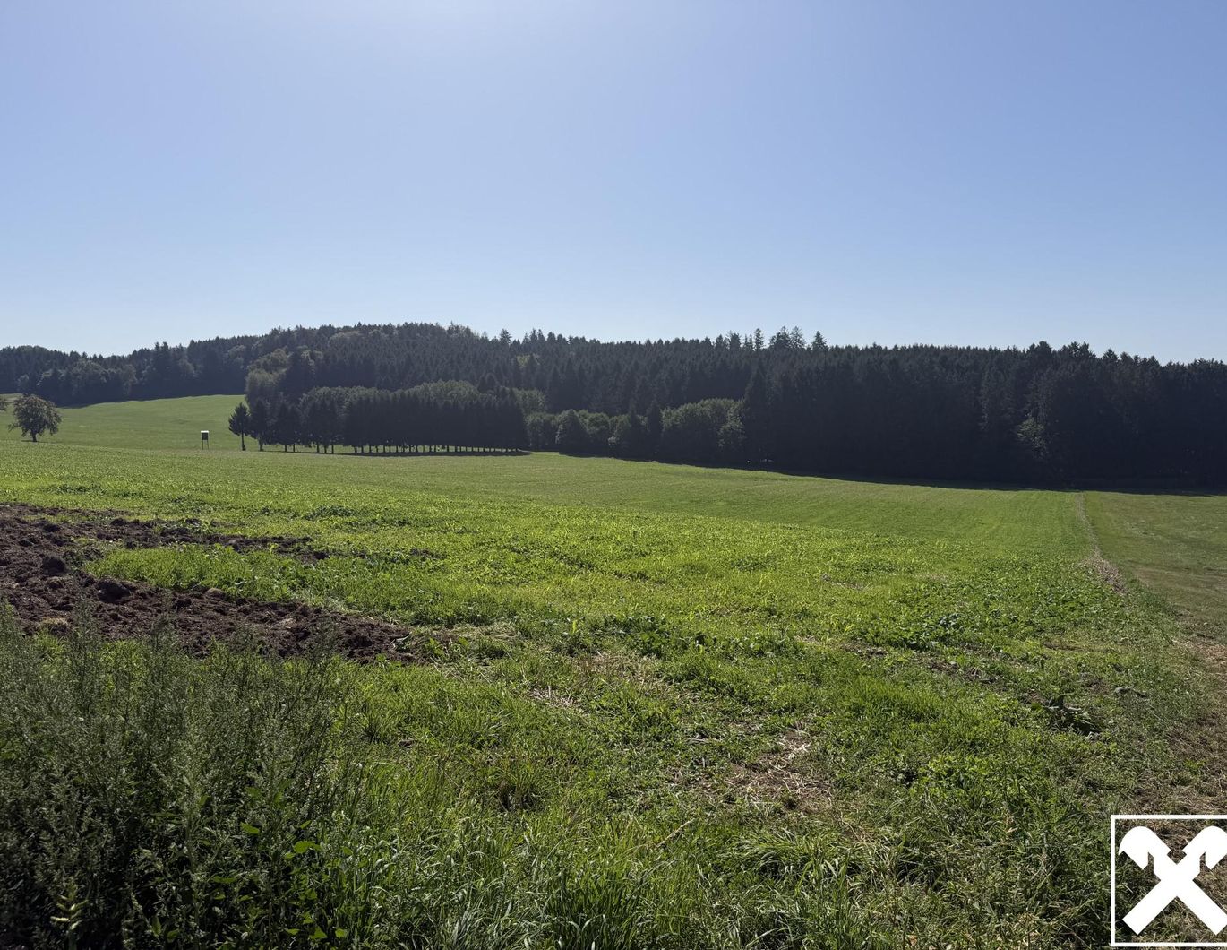 Arrondierte Landwirtschaftliche Nutzfläche – Bild 1 von 4