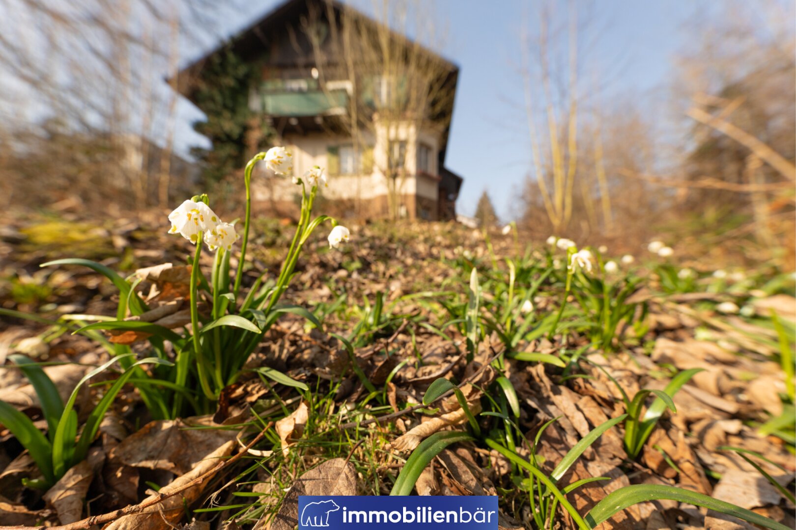 Großzügiger Bauplatz im Zaubertal Leonding | ca. 1.080 m² | unverbindlicher Teilungsvorschlag – Bild 2 von 15