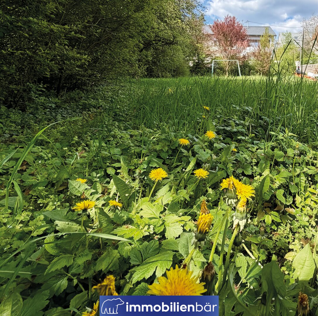 Sonniges 751m² Baugrundstück in ruhiger Siedlungslage von Leonding – Bild 3 von 16