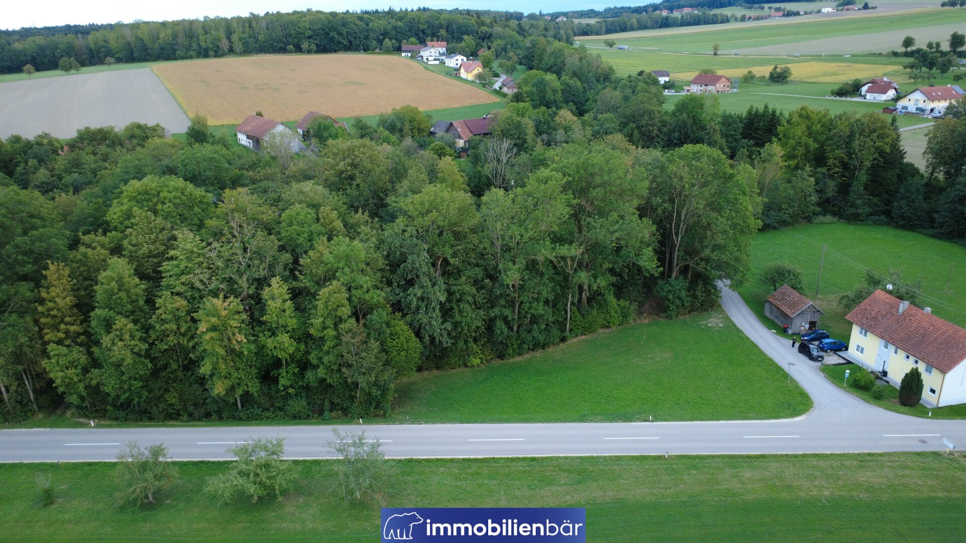 Freizeitgrundstück Pramerdorf mit Wald und Bach - Nähe Geiersberg - Bezirk Ried/Innkr. – Bild 1 von 13