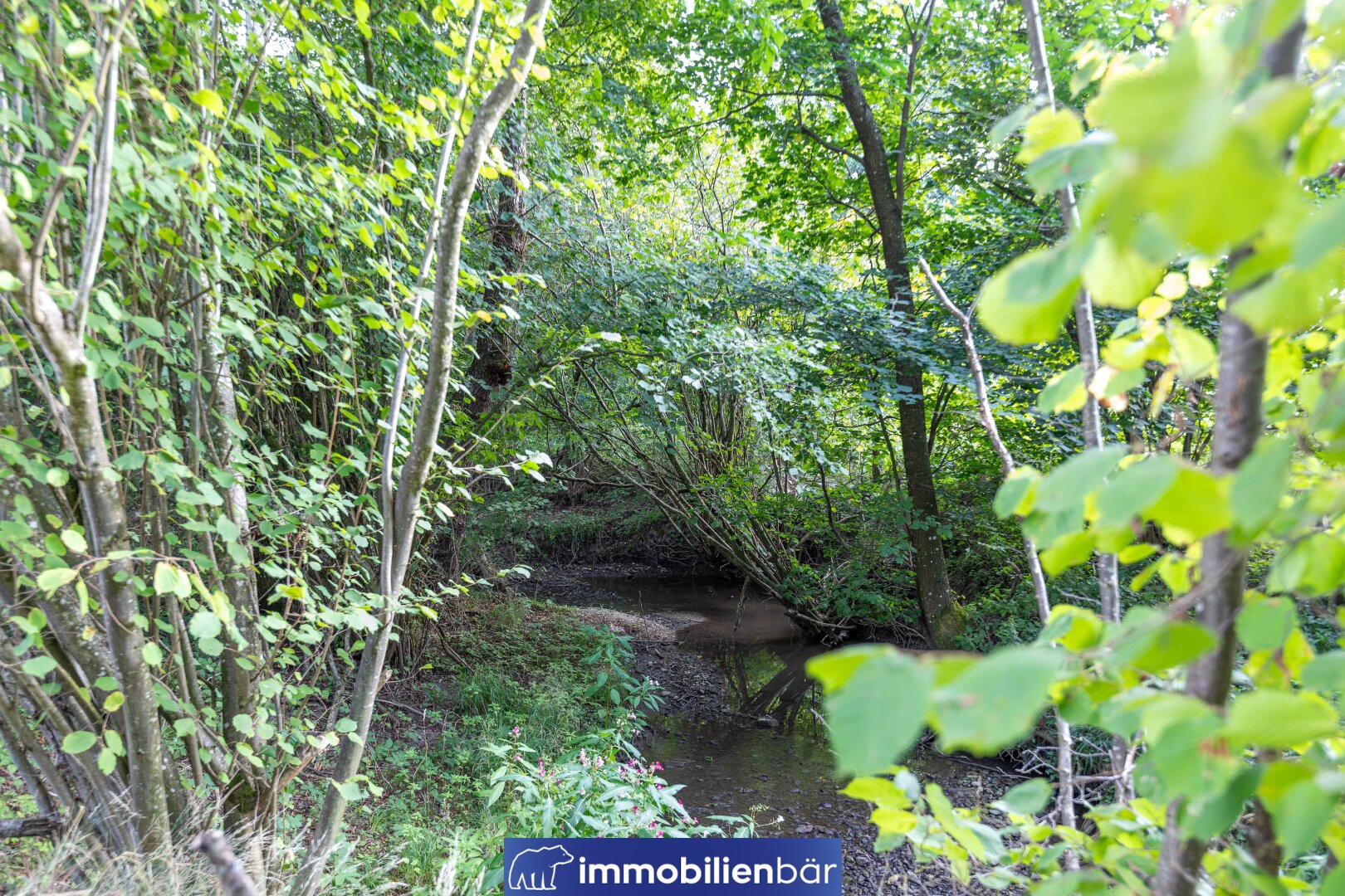 Freizeitgrundstück Pramerdorf - Nähe Geiersberg - Bezirk Ried/Innkr. – Bild 3 von 20